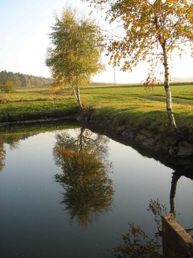 Ferienwohnung Leicht Аннаберг-Бухгольц Екстер'єр фото
